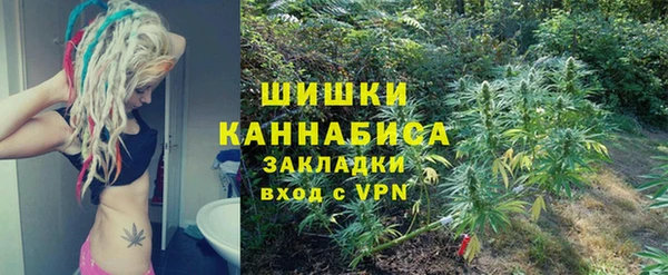 сатива Алексин