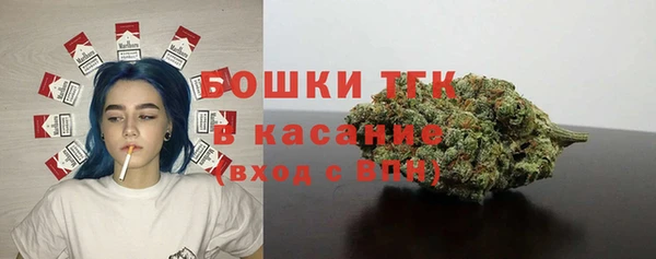 сатива Алексин
