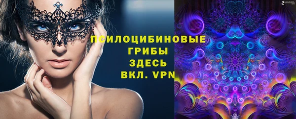 молекула духа Алзамай