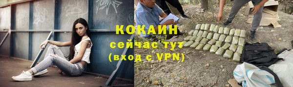 молекула духа Алзамай