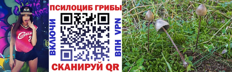 Псилоцибиновые грибы мухоморы  Долинск 